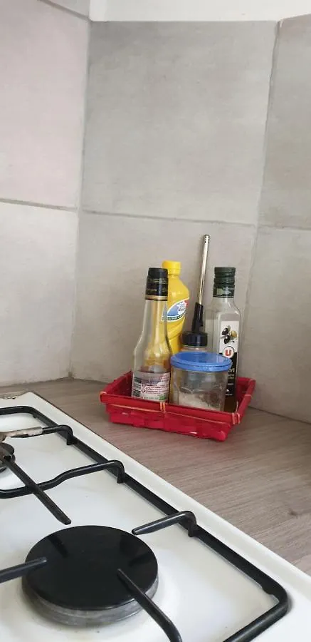 Appartement T3 Vue Montagne Sinsat 아파트